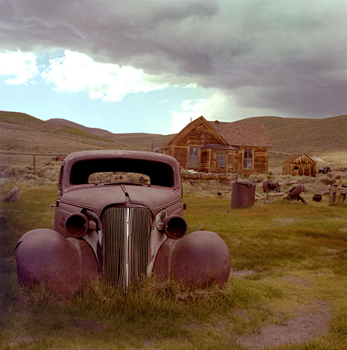 Brodie – NevadaPhoto by Mark Allan